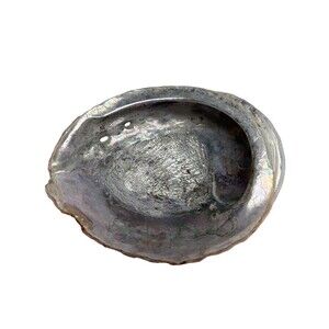 Abalone Shell Natural Iridescent Mother Of Pearl California Ocean Dish 9”x 7.5”